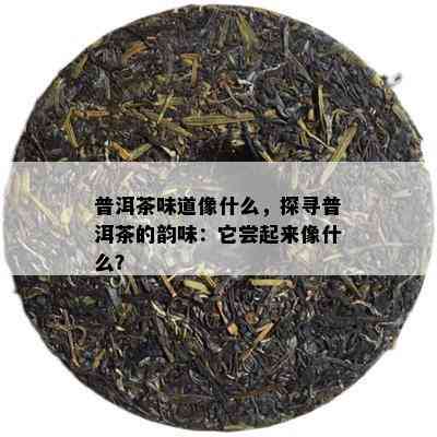 普洱茶味道像什么，探寻普洱茶的韵味：它尝起来像什么？