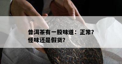 普洱茶有一股味道：正常？怪味还是假货？