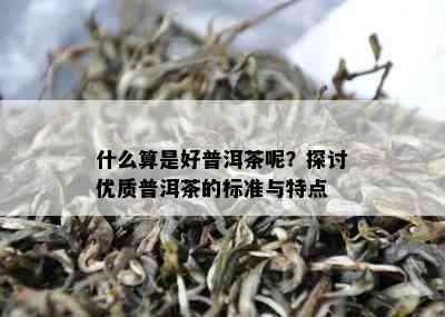 什么算是好普洱茶呢？探讨优质普洱茶的标准与特点