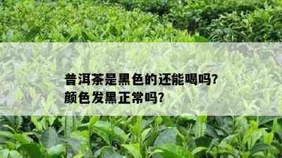 普洱茶是黑色的还能喝吗？颜色发黑正常吗？