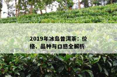 2019年冰岛普洱茶：价格、品种与口感全解析