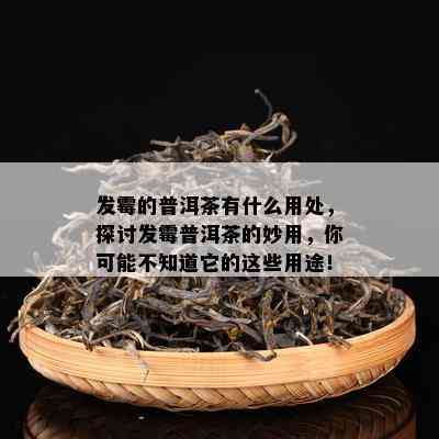 发霉的普洱茶有什么用处，探讨发霉普洱茶的妙用，你可能不知道它的这些用途！