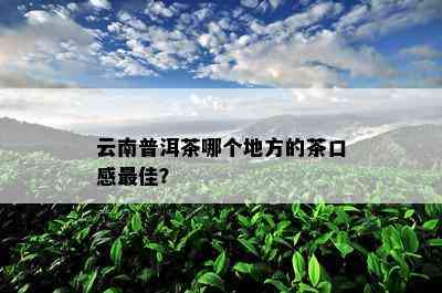 云南普洱茶哪个地方的茶口感更佳？