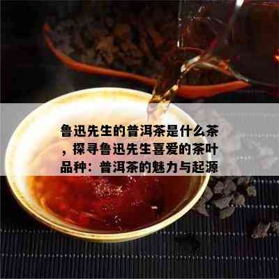 鲁迅先生的普洱茶是什么茶，探寻鲁迅先生喜爱的茶叶品种：普洱茶的魅力与起源