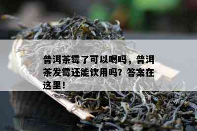 普洱茶霉了可以喝吗，普洱茶发霉还能饮用吗？答案在这里！