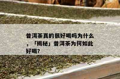 普洱茶真的很好喝吗为什么，「揭秘」普洱茶为何如此好喝？