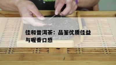 佳和普洱茶：品鉴优质佳益与喔香口感