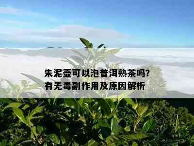 朱泥壶可以泡普洱熟茶吗？有无副作用及起因解析