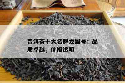 普洱茶十大名牌龙园号：品质卓越，价格透明