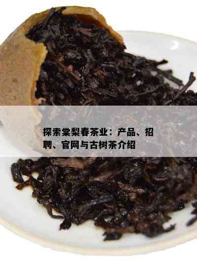 探索棠梨春茶业：产品、招聘、官网与古树茶介绍