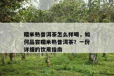 糯米熟普洱茶怎么样喝，怎样品尝糯米熟普洱茶？一份详细的饮用指南