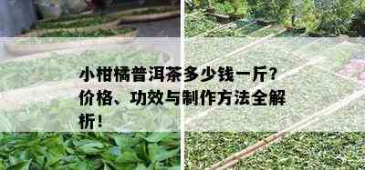 小柑橘普洱茶多少钱一斤？价格、功效与制作方法全解析！