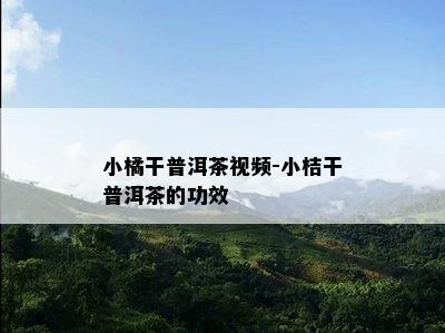 小橘干普洱茶视频-小桔干普洱茶的功效