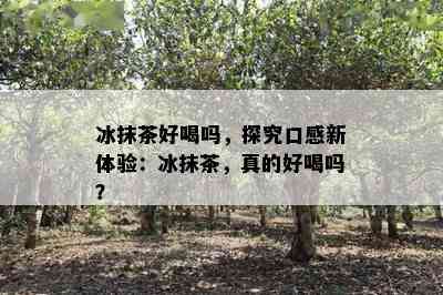 冰抹茶好喝吗，探究口感新体验：冰抹茶，真的好喝吗？