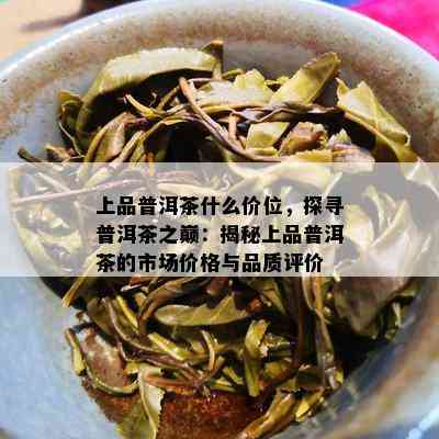 上品普洱茶什么价位，探寻普洱茶之巅：揭秘上品普洱茶的市场价格与品质评价