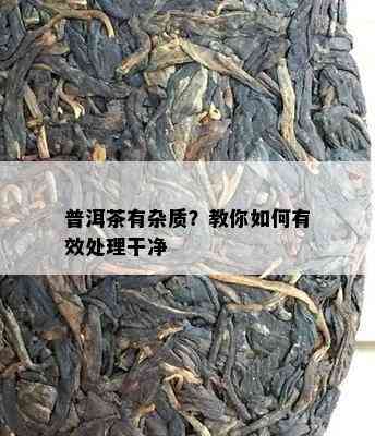 普洱茶有杂质？教你怎样有效解决干净