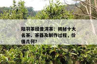 陆羽茶经普洱茶：揭秘十大名茶、茶器及制作过程，价值几何？