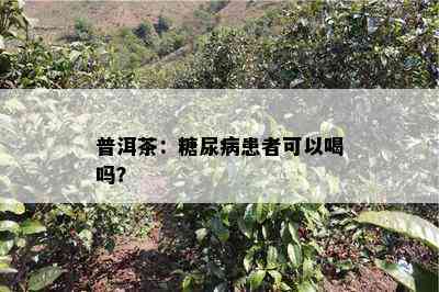 普洱茶：糖尿病患者可以喝吗？