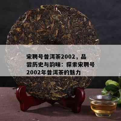 宋聘号普洱茶2002，品尝历史与韵味：探索宋聘号2002年普洱茶的魅力