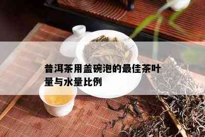 普洱茶用盖碗泡的更佳茶叶量与水量比例