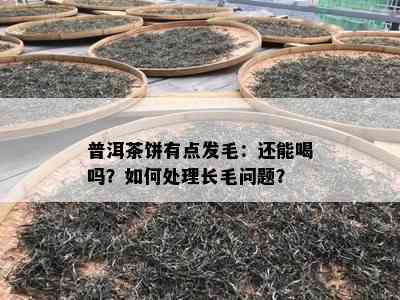 普洱茶饼有点发毛：还能喝吗？怎样解决长毛疑问？