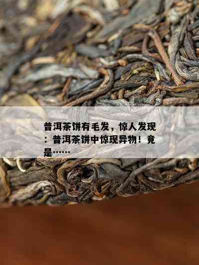 普洱茶饼有毛发，惊人发现：普洱茶饼中惊现异物！竟是……