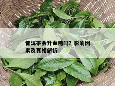 普洱茶会升血糖吗？作用因素及真相解析