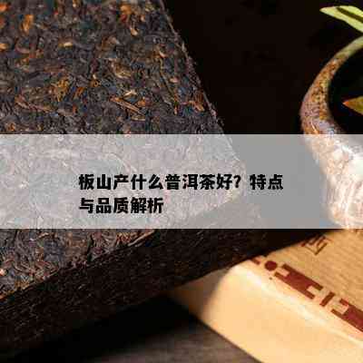 板山产什么普洱茶好？特点与品质解析