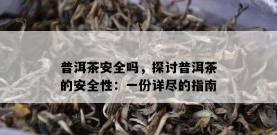 普洱茶安全吗，探讨普洱茶的安全性：一份详尽的指南