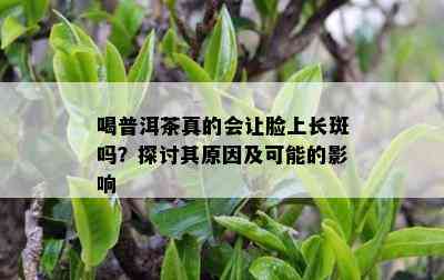 喝普洱茶真的会让脸上长斑吗？探讨其起因及可能的作用