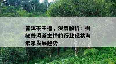 普洱茶主播，深度解析：揭秘普洱茶主播的行业现状与未来发展趋势