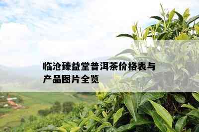 临沧臻益堂普洱茶价格表与产品图片全览