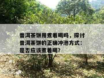 普洱茶饼用煮着喝吗，探讨普洱茶饼的正确冲泡方法：是不是应煮着喝？