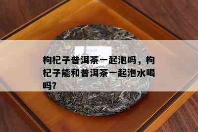 枸杞子普洱茶一起泡吗，枸杞子能和普洱茶一起泡水喝吗？