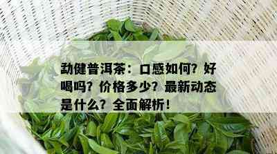 勐健普洱茶：口感怎样？好喝吗？价格多少？最新动态是什么？全面解析！