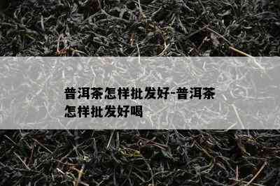 普洱茶怎样批发好-普洱茶怎样批发好喝