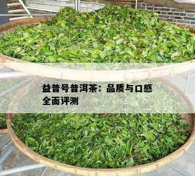 益普号普洱茶：品质与口感全面评测