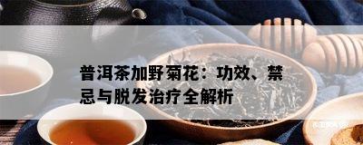 普洱茶加野菊花：功效、禁忌与脱发治疗全解析