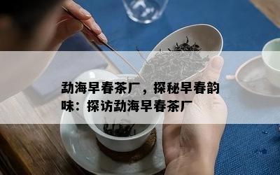 勐海早春茶厂，探秘早春韵味：探访勐海早春茶厂