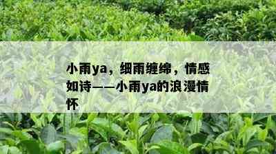 小雨ya，细雨缠绵，情感如诗——小雨ya的浪漫情怀