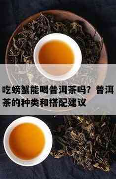 吃螃蟹能喝普洱茶吗？普洱茶的种类和搭配建议