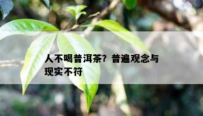 人不喝普洱茶？普遍观念与现实不符