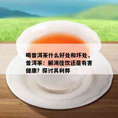 喝普洱茶什么好处和坏处，普洱茶：解渴佳饮还是有害健康？探讨其利弊