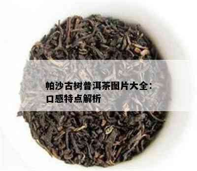 帕沙古树普洱茶图片大全：口感特点解析