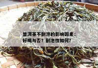 普洱茶不耐泡的作用因素：好喝与否？耐泡性怎样？