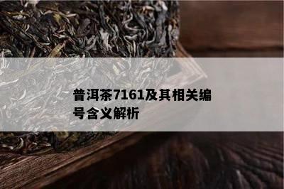 普洱茶7161及其相关编号含义解析