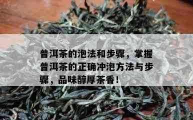 普洱茶的泡法和步骤，掌握普洱茶的正确冲泡方法与步骤，品味醇厚茶香！