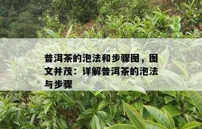 普洱茶的泡法和步骤图，图文并茂：详解普洱茶的泡法与步骤