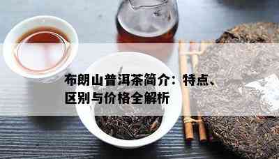 布朗山普洱茶简介：特点、区别与价格全解析