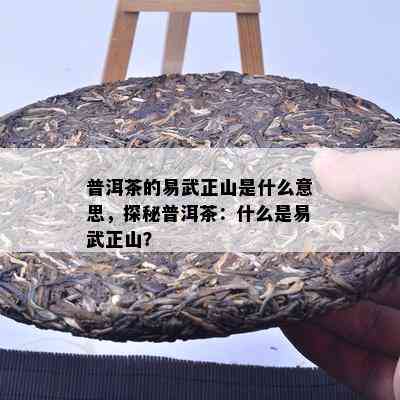 普洱茶的易武正山是什么意思，探秘普洱茶：什么是易武正山？